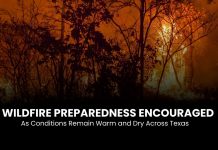 Wildfire Preparedness Encouraged As Conditions Remain Warm and Dry Across Texas