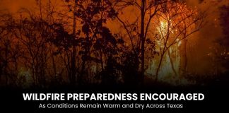 Wildfire Preparedness Encouraged As Conditions Remain Warm and Dry Across Texas