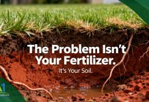 How East Texas Soil Shapes the Health of Your Lawn More Than Fertilizer Alone
