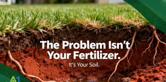 How East Texas Soil Shapes the Health of Your Lawn More Than Fertilizer Alone
