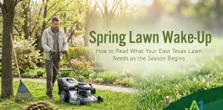 Spring Lawn Wake-Up: How to Read What Your East Texas Lawn Needs as the Season Begins