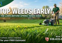 Spring Weed Control in East Texas: How Early Decisions Shape Your Lawn All Summer