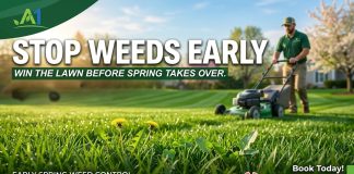 Spring Weed Control in East Texas: How Early Decisions Shape Your Lawn All Summer