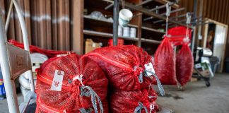 Texas Crawfish Outlook Strong Despite Early Harvest Delays