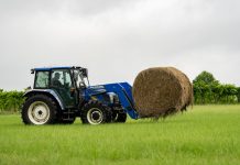 High Demand Dwindles Hay Supplies As Dry Weather Persists