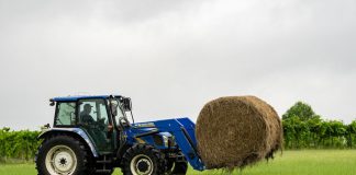 High Demand Dwindles Hay Supplies As Dry Weather Persists