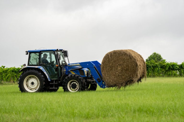 High Demand Dwindles Hay Supplies As Dry Weather Persists