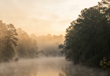 Morning Fog on the Neches: Why East Texas Spring Mornings Are Worth Waking Up For