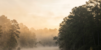 Morning Fog on the Neches: Why East Texas Spring Mornings Are Worth Waking Up For