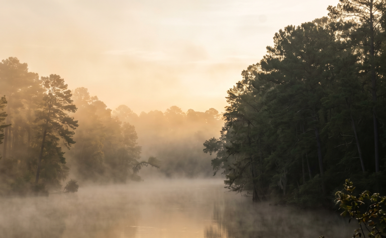 Morning Fog on the Neches: Why East Texas Spring Mornings Are Worth Waking Up For