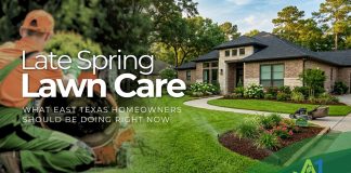 Late Spring Lawn Care: What East Texas Homeowners Should Be Doing Right Now Spring Lawn Care