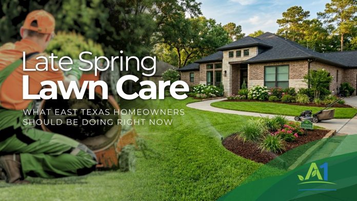 Spring Lawn Care
