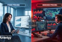 Fixed Rate or Variable? Choosing the Right Electricity Plan