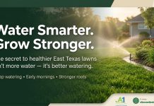 Smart Watering: How Much Water Your East Texas Lawn Actually Needs