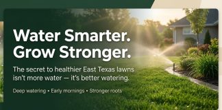 Smart Watering: How Much Water Your East Texas Lawn Actually Needs