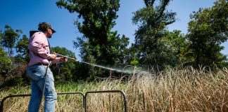 Aquatic Vegetation Herbicide Selection, Application Webinar Set for May 19