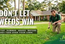 Fighting Summer Weeds in East Texas Before They Take Over