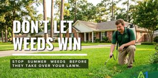 Fighting Summer Weeds in East Texas Before They Take Over