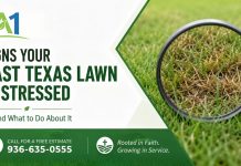 Signs Your East Texas Lawn Is Stressed — and What to Do About It