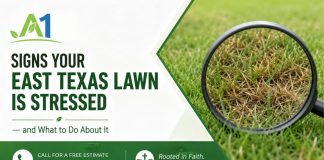 Signs Your East Texas Lawn Is Stressed — and What to Do About It