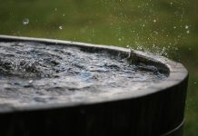 Harvesting Rainwater: An Old Idea Worth Revisiting