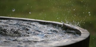 Harvesting Rainwater: An Old Idea Worth Revisiting