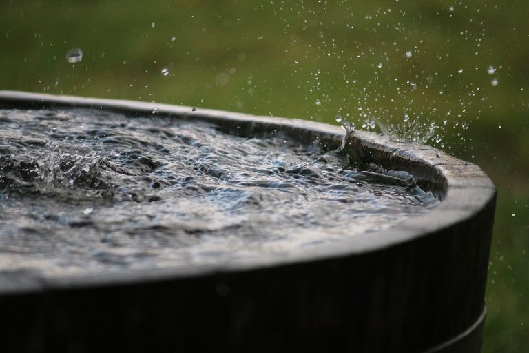 Harvesting Rainwater: An Old Idea Worth Revisiting