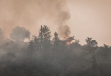 Funding Available Through Wildfire Mitigation Grants for Texas Landowners