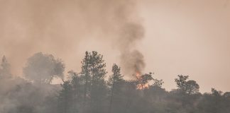 Funding Available Through Wildfire Mitigation Grants for Texas Landowners