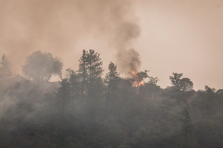 Funding Available Through Wildfire Mitigation Grants for Texas Landowners