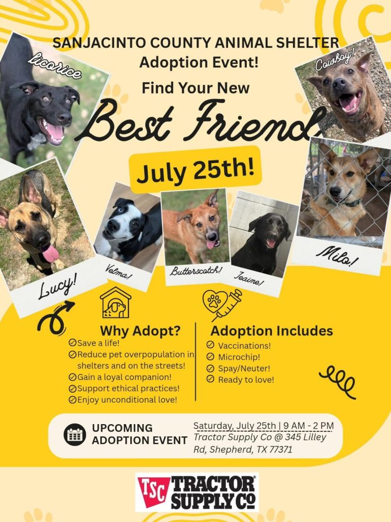 Find Your New Best Friend (San Jacinto County)