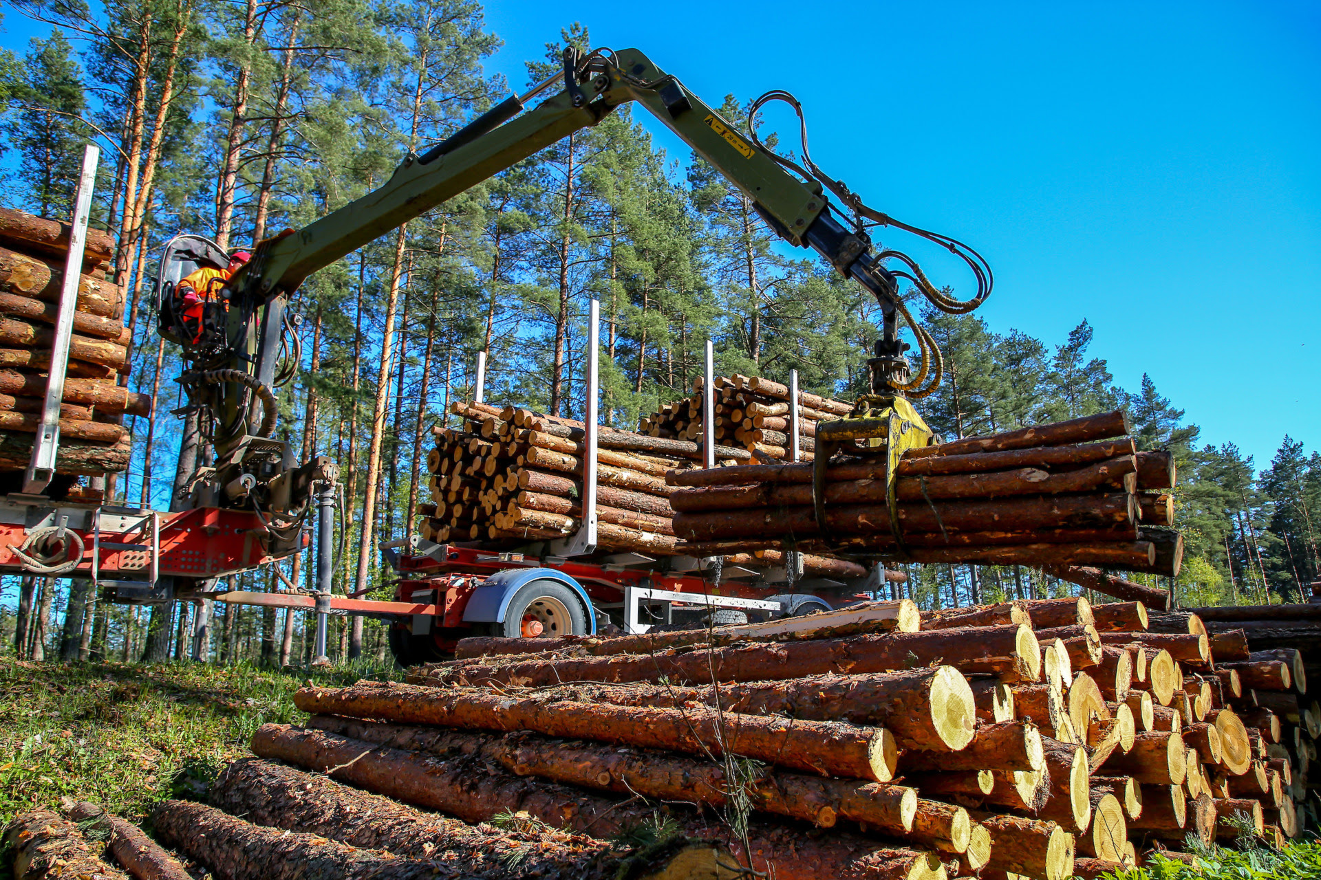 a crane loading logs onto a lumber truck
