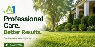 Why Consistent Professional Lawn Care Beats DIY Every East Texas Summer