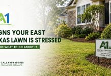 Signs Your East Texas Lawn Is Stressed — and What to Do About It