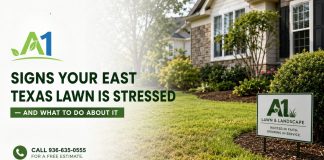 Signs Your East Texas Lawn Is Stressed — and What to Do About It