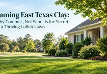 The Psychology of Curb Appeal: What Your Yard Says Before You Say a Word