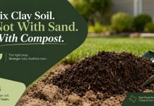 Taming East Texas Clay: Why Compost, Not Sand, Is the Secret to a Thriving Lufkin Lawn
