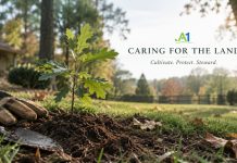 The Theology of Soil: What the Bible Says About Caring for the Land You’ve Been Given