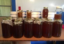 More than 40 years in the hives: Karen Mitchell on East Texas bees and honey Honey Harvest