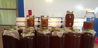 More than 40 years in the hives: Karen Mitchell on East Texas bees and honey Honey Harvest