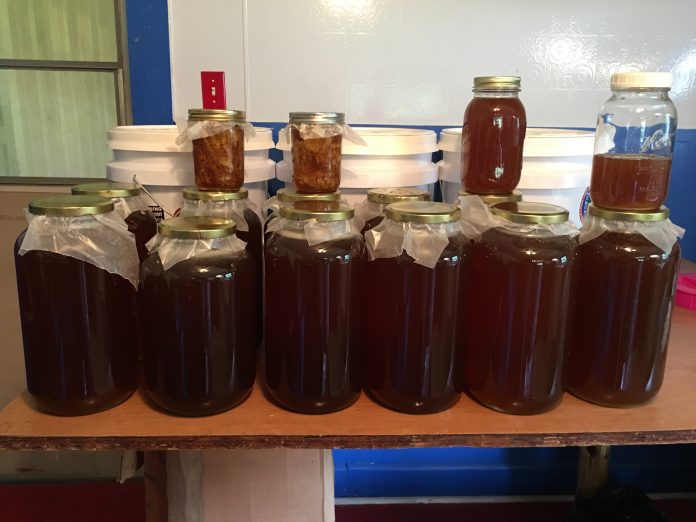 Honey Harvest