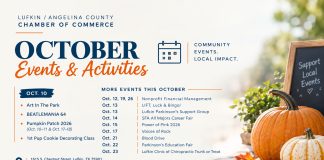 Art in The Park, Beatlemania 64, and A Pumpkin Patch Fill Saturday in Lufkin